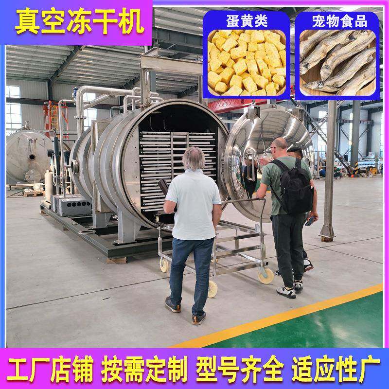 冻干豆腐全自动20平方甜玉米粒真空冻干机食品低温冷冻干燥机