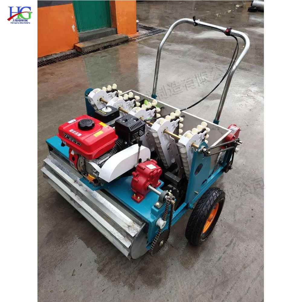 自式大蒜播种种汽油走OUC机机械化蒜瓣种植机锥形螺旋导管点播机