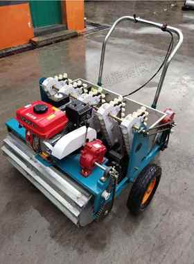 自式大蒜播种种汽油走OUC机机械化蒜瓣种植机锥形螺旋导管点播机