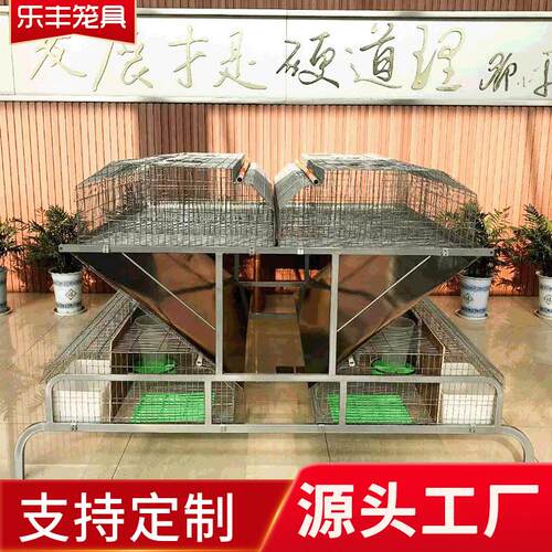 自动化兔笼 新型热镀锌繁殖笼免清粪 品型繁育笼 双层欧式兔笼