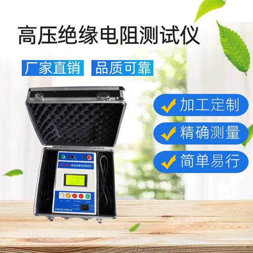 现货供应数字式高压绝缘电阻测试仪厂家直销