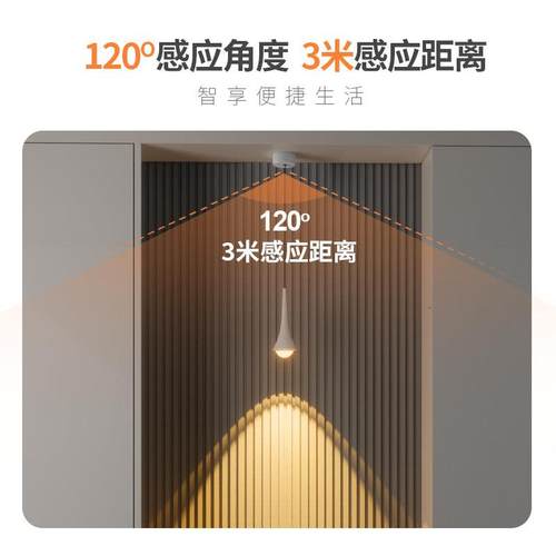 体感应小吊灯单HQ-AD217头入卧户门玄关人水滴长线 缐灯室头床小