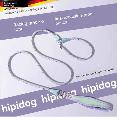 防爆打孔P绳P炼狗狗行走绳狗狗炼小、中、大型狗狗防打结螺栓狗狗
