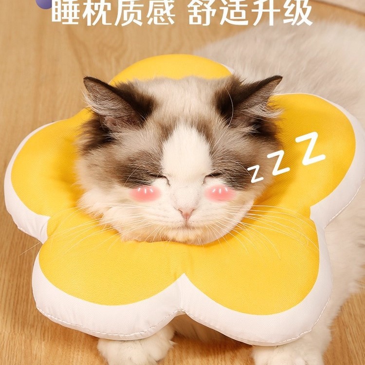 伊丽莎白可爱宠物宠物伊丽莎白圈