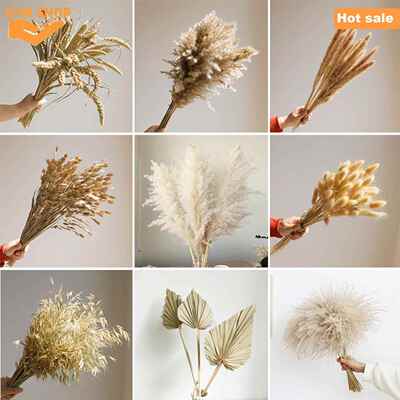 Pampas Grass,Room Wedding decoration,Fluffy Pompas Floral