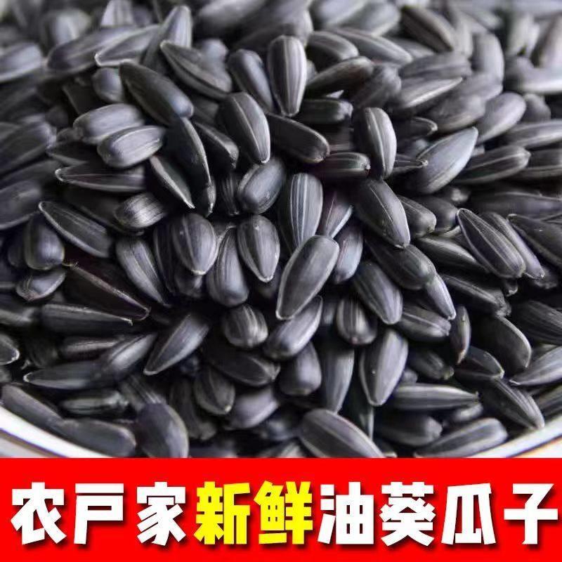 现货今年新货油葵奶香味油葵五香原味小瓜子黑珍珠油葵坚果小零食