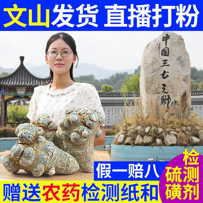 云南文山无剪口滑头三七头500克三七粉原料三七头特级品质
