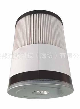 供应颇克P550736 FS19729 P550737 FS19536 33651燃油柴油滤芯