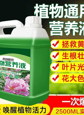 植物营养液通用型绿植僵苗黄叶急救土培水培盆栽花卉花肥液体肥料