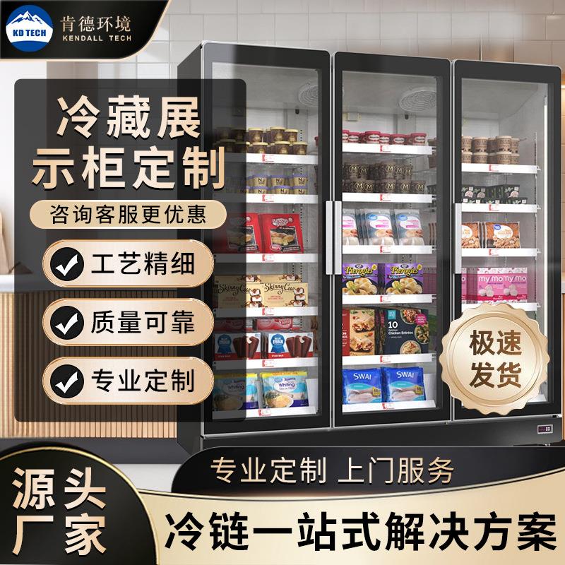 供应立式冷冻展示柜商用冰箱超市便利店生鲜烧烤串串三开门冷藏柜