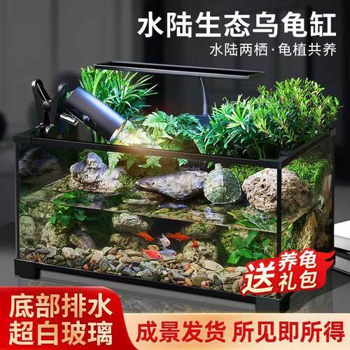 乌龟缸高清玻璃生态造景龟鱼缸一体混养生态缸客厅专用家用饲养缸