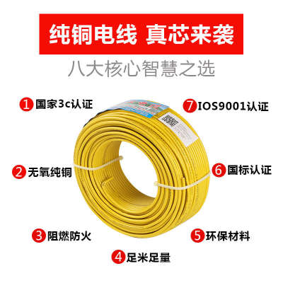官方珠江电线电缆BVR国标1/1.5/2.5/4/6平方铜芯家用黑色多股软线