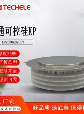 软启动用普通可控硅 KP2500A3200V 平板式晶闸管 KP2500A
