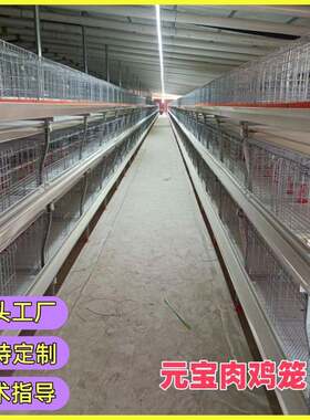 四层自动化肉鸡笼元宝型肉鸡笼框架式养鸡设备源头生产厂家批