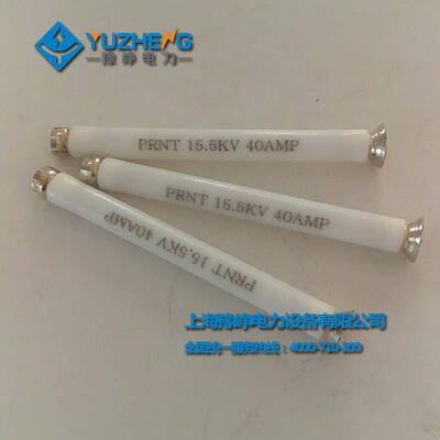油R浸式式变压PRNTP器保护后备熔断器RNT-美15.5KV底座ZG3