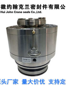 2VSF化工造纸侧式搅拌器耐腐蚀机械密封件厂家选型设计定制包邮