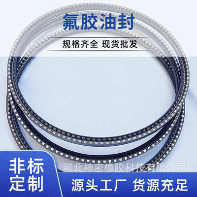 棍压机磨辊油封 骨架油封辊压机密封 磨辊密封 氟橡胶 TC骨架油封
