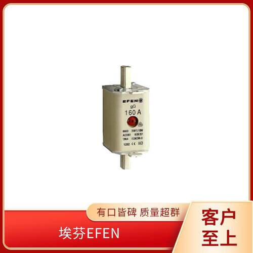 EFEN 熔断器 29300-1700 负荷开关 FMU 6/4-U0 63A/4 Af Km L