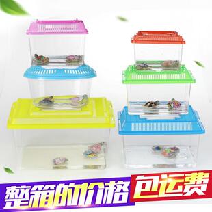 新款直销大中小号塑料乌龟缸金鱼缸爬宠饲养宠物盒手提透明运输盒