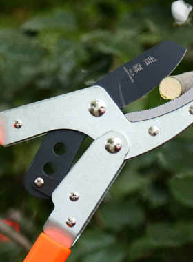 厂家供应伸缩粗枝大力剪 果树修枝粗枝剪高枝树枝剪 园林工具剪刀