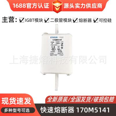170M5141 170M5142 快速熔断器 保险丝 电子元器件 量大价优