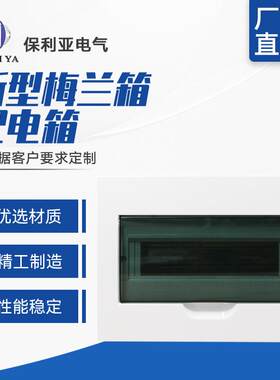 豪华型回路箱12回路明装新型梅兰箱明装照明箱用电设备专用配电箱