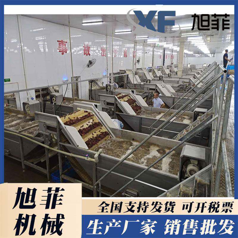 小龙虾气泡清洗机板带式翻浪清洗机一整套虾类加工成套设备