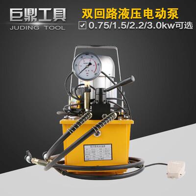 双回路电动液压泵站70 超高压电动液压泵浦 双向普通泵油压机