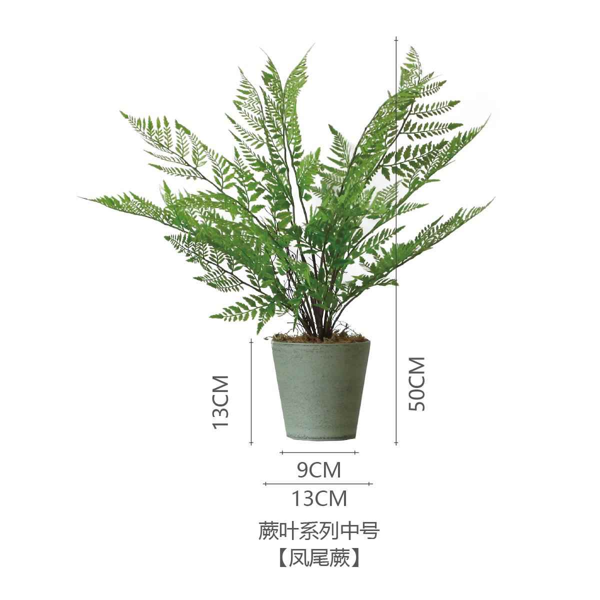 正品西西仿真植物蕨草 基础款桌面绿植居家书室柜隔板餐厅办里公