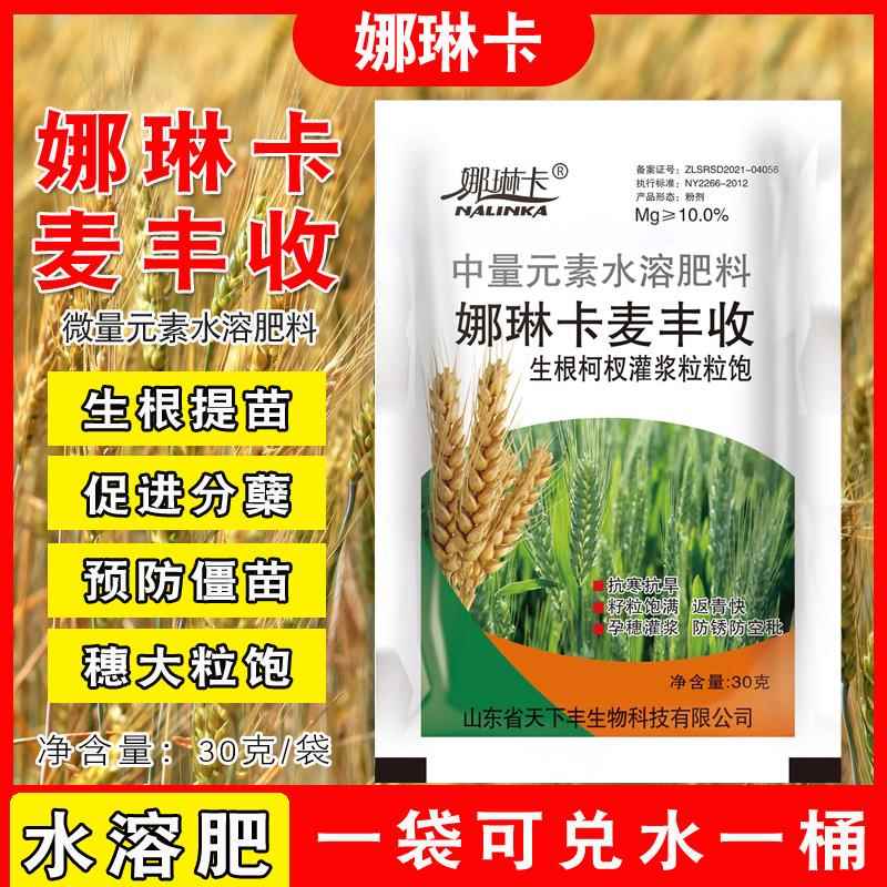 娜琳卡麦丰收小麦专用叶面肥小麦膨大小麦专用肥抗倒伏增产素