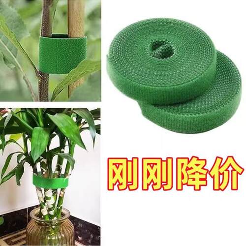 Magic tape plant ties, green hook-and-loop straps for securi