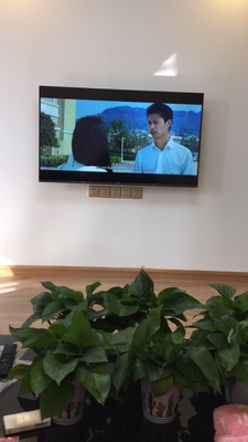 我想问下VIDAA55V1F和创维55M7S哪个好，选哪个不后悔呢