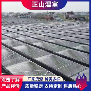 承建阳光板连栋智能温室大棚采光保暖性好阳光板温室大棚