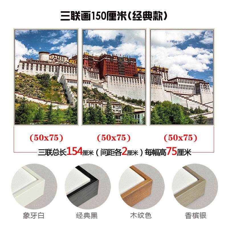 布达拉宫挂画客厅背景墙有框画西藏拉萨城市建筑风景画大幅装饰画