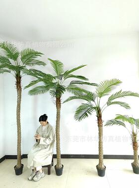 仿真针葵树北欧仿真绿植室内装饰仿真小椰子树大型落地盆景客厅