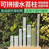 水苔柱可拼接爬藤植物攀附柱热植蔓绿绒绿萝龟背竹攀爬柱固定支架