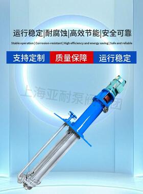 温熔盐液下泵 YL型 304/316L 材质 光热发电储能硝盐循环输送泵