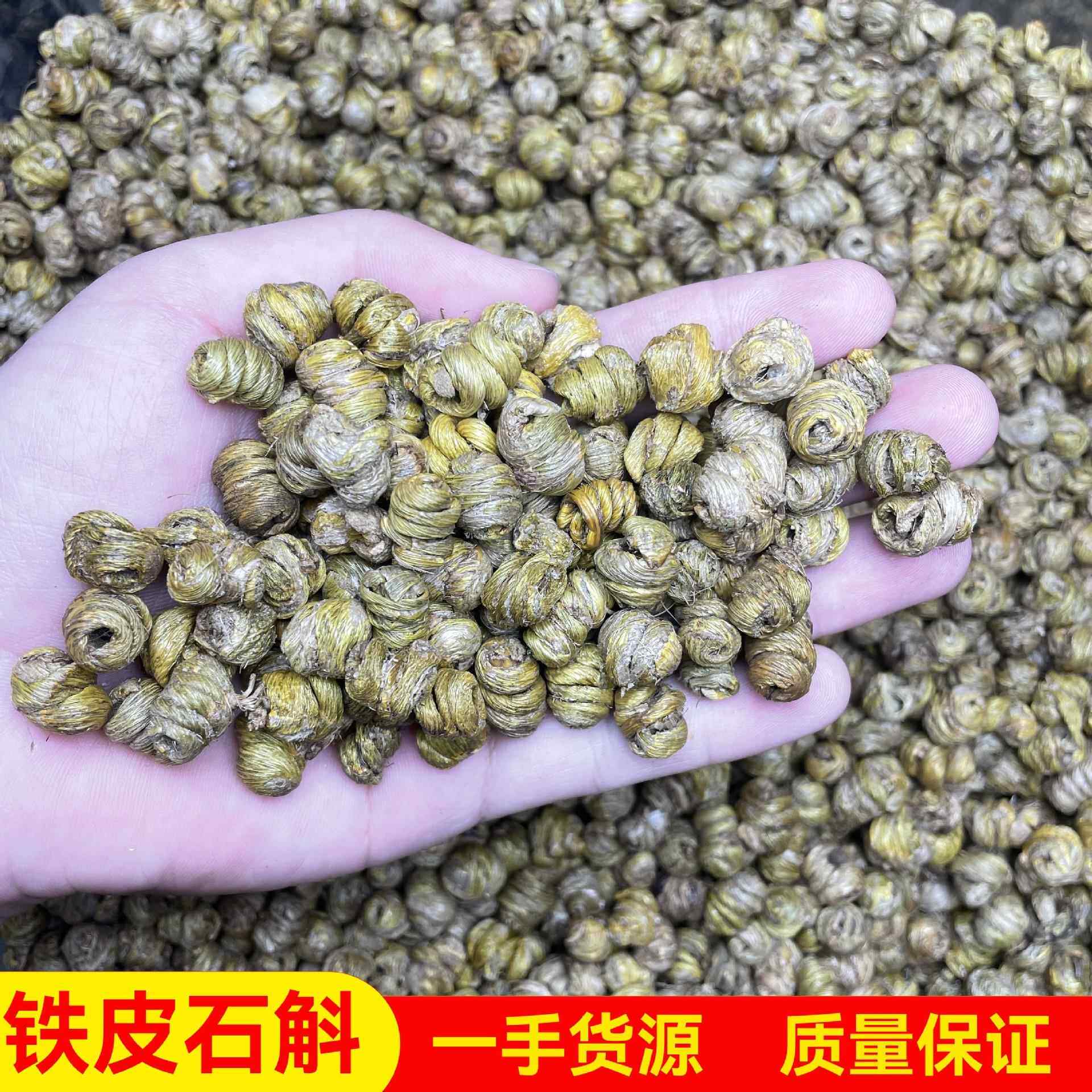 铁皮石斛散装 石斛枫斗胶质好无渣 石斛水草 小规格铁皮