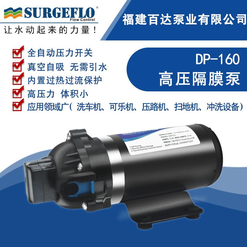 DP-160压隔膜水泵12V24V110V220V直流交流压路机净水器洗车喷雾