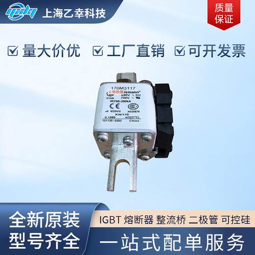 巴斯曼熔断器 170M3188 170M3189 170M3190 170M3191 170M3192