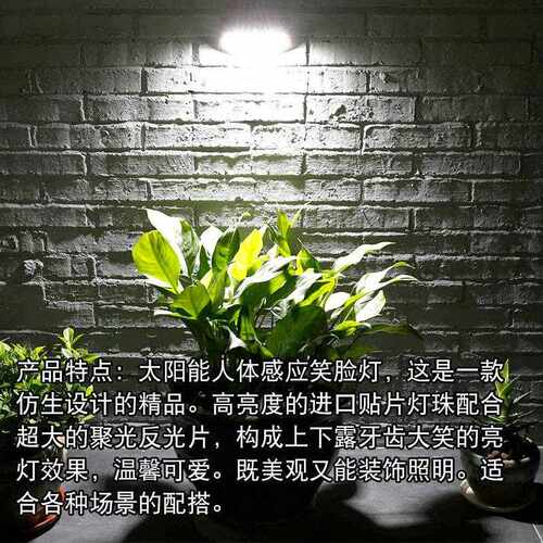 太阳能庭院户外灯 家用室外园林过道照明别墅花园人体感应led壁灯