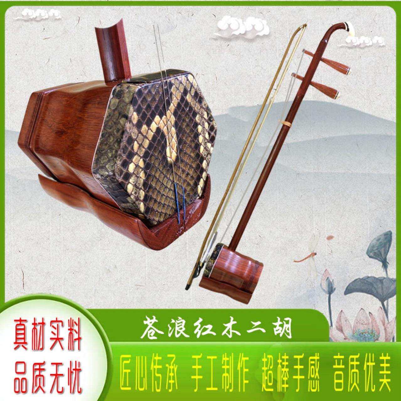 沧浪二胡乐器初学者苏州黑檀二胡成人儿童入门演奏二胡琴