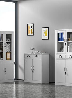 制文件柜铁皮柜子案办公室资柜凭证柜档柜收RSV钢纳书柜料带锁储