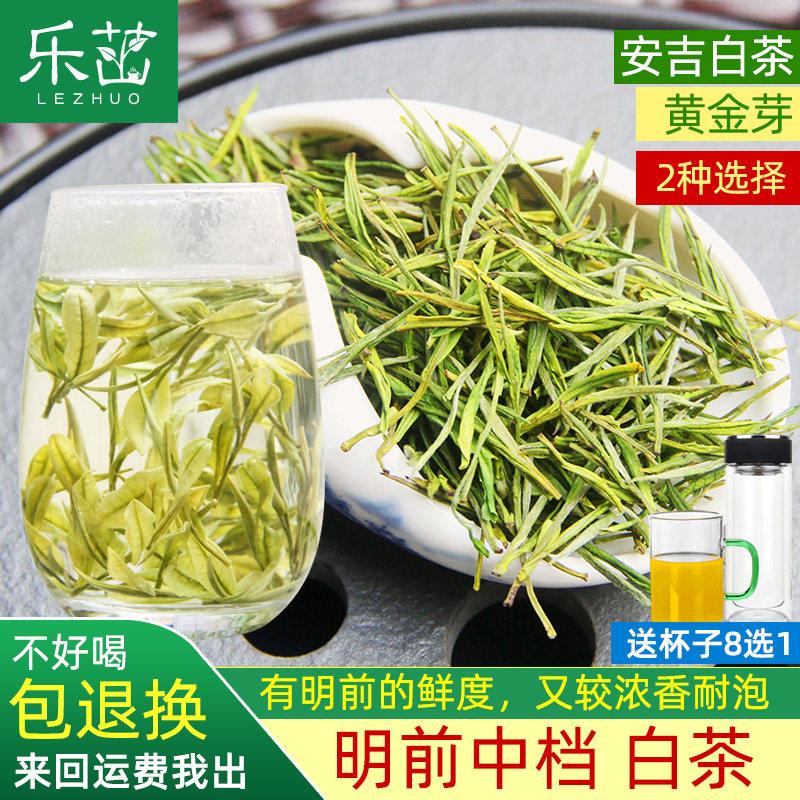 乐茁浓鲜明前中档-安吉白茶黄金芽 2026年新茶高山珍稀正宗绿茶叶