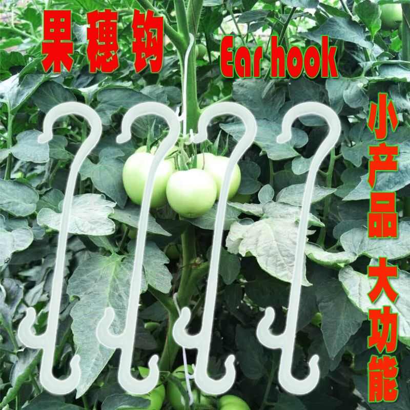 大棚西红柿挂钩果穗钩吊果勾番茄塑料挂钩吊钩挂勾吊蔓挂钩吊穗钩