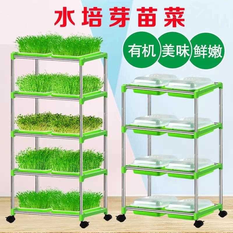 新款直销豆芽种植盆芽菜豆苗四季水培托盘加密保温带盖无土蔬菜育