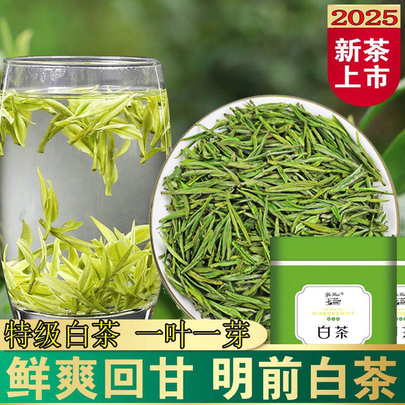 2025新茶特级明前安吉玉蕊白茶溪龙绿茶高山精品散装茶叶250g礼盒