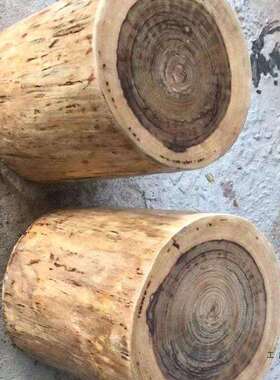 樟香木墩墩BPS子原木木树桩木桩树墩艺术根雕茶几登坐实树头支架