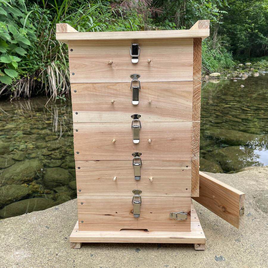 养蜂专用杉木蜂箱碳化懒人蜂箱全套蜜蜂巢蜜土养箱五层中蜂格子箱