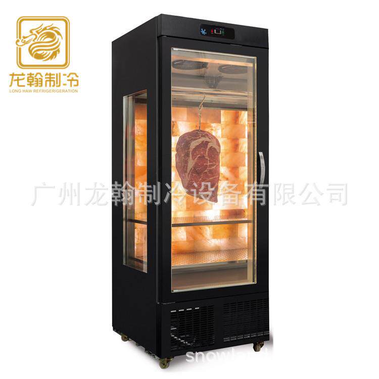 单门干式牛肉熟成柜商用牛肉排酸柜火腿熟成柜meatdryage